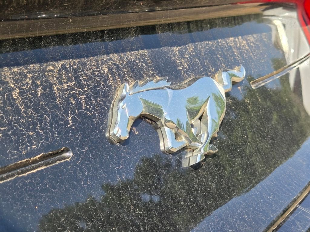 2022 Ford Mustang EcoBoost