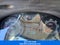 2008 Ford Focus S