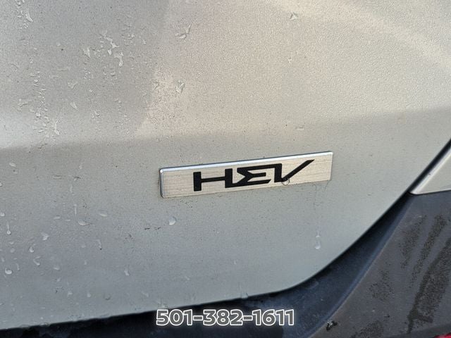 2025 Kia Carnival Hybrid SX