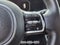 2025 Kia Carnival Hybrid SX